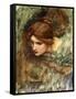 A Study for the Head of Venus-John William Waterhouse-Framed Stretched Canvas