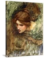 A Study for the Head of Venus-John William Waterhouse-Stretched Canvas