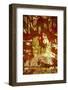 A Study in Red and Gold-Art Wolfe-Framed Photographic Print