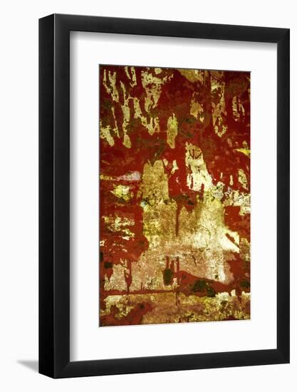 A Study in Red and Gold-Art Wolfe-Framed Photographic Print