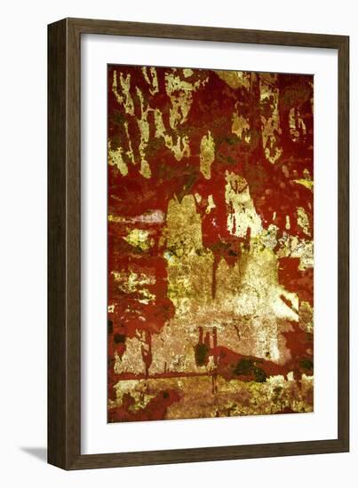 A Study in Red and Gold-Art Wolfe-Framed Photographic Print