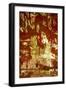 A Study in Red and Gold-Art Wolfe-Framed Photographic Print