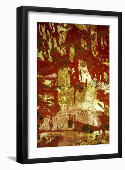 A Study in Red and Gold-Art Wolfe-Framed Premium Photographic Print