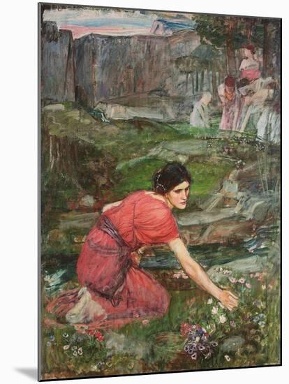 A Study: Maidens Picking Flowers by a Stream, C. 1909-1914-John William Waterhouse-Mounted Giclee Print