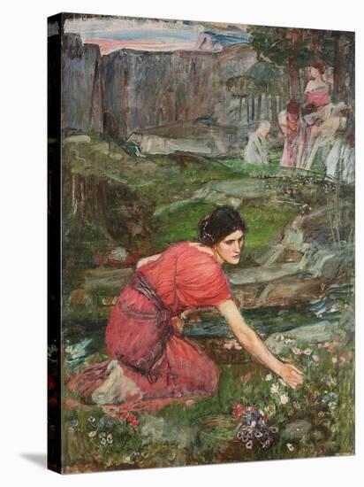 A Study: Maidens Picking Flowers by a Stream, C. 1909-1914-John William Waterhouse-Stretched Canvas