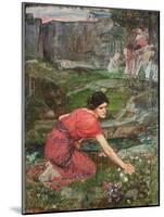 A Study: Maidens Picking Flowers by a Stream, C. 1909-1914-John William Waterhouse-Mounted Giclee Print