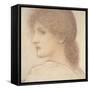 A Study of a Woman's Head, Turned to the Left, 1868 (Red Chalk on Paper)-Edward Burne-Jones-Framed Stretched Canvas