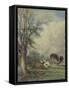 A Study of Cattle, 19Th Century-Thomas Baker-Framed Stretched Canvas