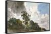 A Study of Clouds and Trees-John Constable-Framed Stretched Canvas