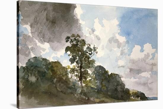 A Study of Clouds and Trees-John Constable-Stretched Canvas