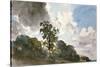 A Study of Clouds and Trees-John Constable-Stretched Canvas