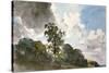 A Study of Clouds and Trees-John Constable-Stretched Canvas