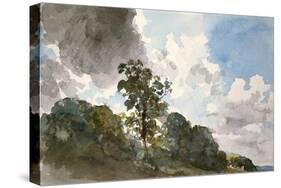 A Study of Clouds and Trees-John Constable-Stretched Canvas