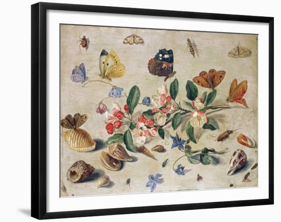 A Study of Flowers and Insects-Jan Van, The Elder Kessel-Framed Giclee Print