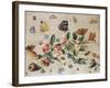 A Study of Flowers and Insects-Jan Van, The Elder Kessel-Framed Giclee Print