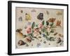 A Study of Flowers and Insects-Jan Van, The Elder Kessel-Framed Giclee Print