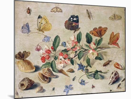 A Study of Flowers and Insects-Jan Van, The Elder Kessel-Mounted Giclee Print