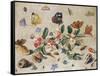 A Study of Flowers and Insects-Jan Van, The Elder Kessel-Framed Stretched Canvas