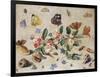 A Study of Flowers and Insects-Jan Van, The Elder Kessel-Framed Giclee Print