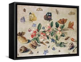 A Study of Flowers and Insects-Jan Van, The Elder Kessel-Framed Stretched Canvas