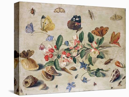 A Study of Flowers and Insects-Jan Van, The Elder Kessel-Stretched Canvas