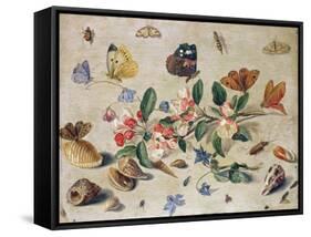 A Study of Flowers and Insects-Jan Van, The Elder Kessel-Framed Stretched Canvas