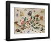 A Study of Flowers and Insects-Jan Van, The Elder Kessel-Framed Giclee Print