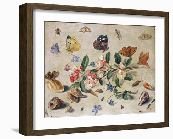 A Study of Flowers and Insects-Jan Van, The Elder Kessel-Framed Giclee Print