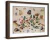 A Study of Flowers and Insects-Jan Van, The Elder Kessel-Framed Giclee Print