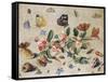 A Study of Flowers and Insects-Jan Van, The Elder Kessel-Framed Stretched Canvas