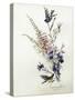 A Study of Heather, Cornflower, and Blossom-Madeleine Lemaire-Stretched Canvas