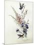 A Study of Heather, Cornflower, and Blossom-Madeleine Lemaire-Mounted Giclee Print