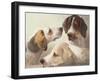 A Study of Hounds-Edward Robert Smythe-Framed Giclee Print