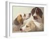 A Study of Hounds-Edward Robert Smythe-Framed Giclee Print