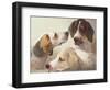 A Study of Hounds-Edward Robert Smythe-Framed Giclee Print