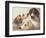 A Study of Hounds-Edward Robert Smythe-Framed Giclee Print