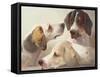 A Study of Hounds-Edward Robert Smythe-Framed Stretched Canvas