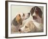 A Study of Hounds-Edward Robert Smythe-Framed Giclee Print