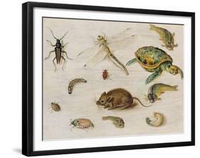 A Study of Insects, Sea Creatures and a Mouse-Jan Brueghel the Younger-Framed Giclee Print