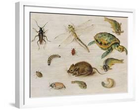 A Study of Insects, Sea Creatures and a Mouse-Jan Brueghel the Younger-Framed Giclee Print