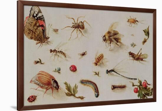 A Study of Insects-Jan Brueghel the Younger-Framed Giclee Print