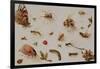 A Study of Insects-Jan Brueghel the Younger-Framed Giclee Print