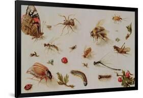 A Study of Insects-Jan Brueghel the Younger-Framed Giclee Print