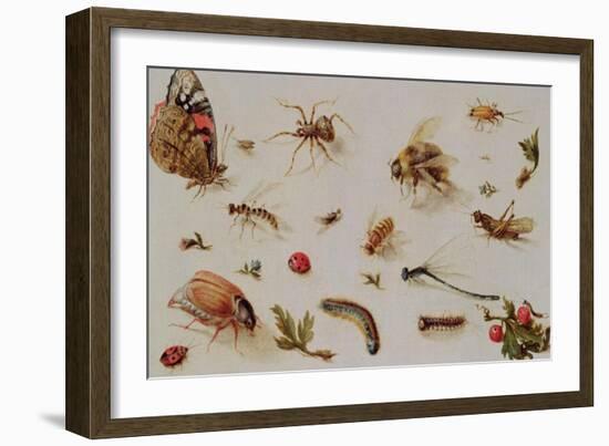 A Study of Insects-Jan Brueghel the Younger-Framed Giclee Print