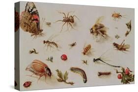 A Study of Insects-Jan Brueghel the Younger-Stretched Canvas