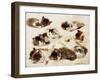 A Study of Kittens-Henriette Ronner-Knip-Framed Giclee Print