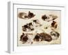 A Study of Kittens-Henriette Ronner-Knip-Framed Giclee Print