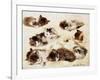 A Study of Kittens-Henriette Ronner-Knip-Framed Giclee Print