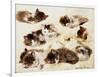 A Study of Kittens-Henriette Ronner-Knip-Framed Giclee Print