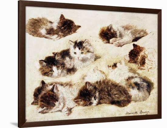 A Study of Kittens-Henriette Ronner-Knip-Framed Giclee Print